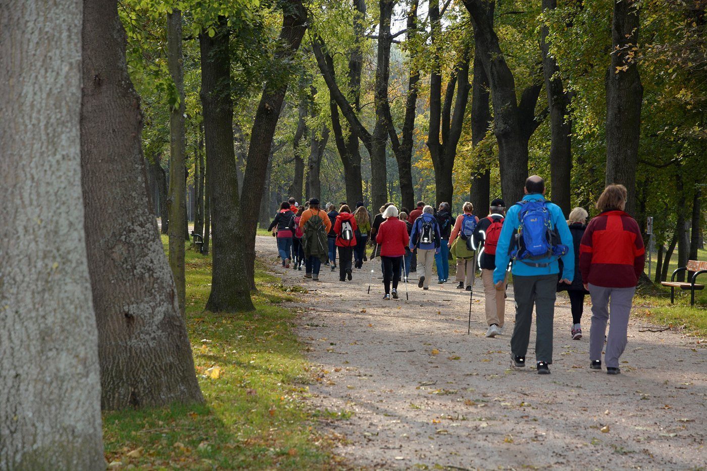 Erfolgswandertag im Wiener Prater