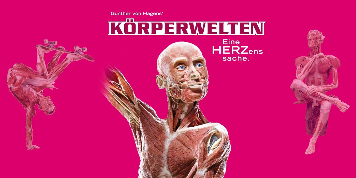 Gunther Von Hagens Korperwelten In Der Stadthalle Veranstaltung