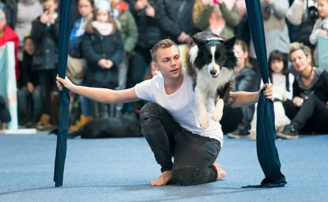 Lukas Pratschker mit Hund Falco bei der Haustiermesse in Wien