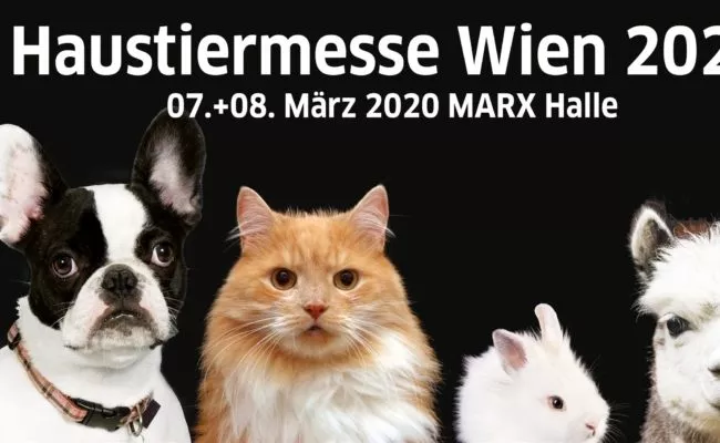 Haustiermesse Wien 2020 findet in der Marx Halle statt