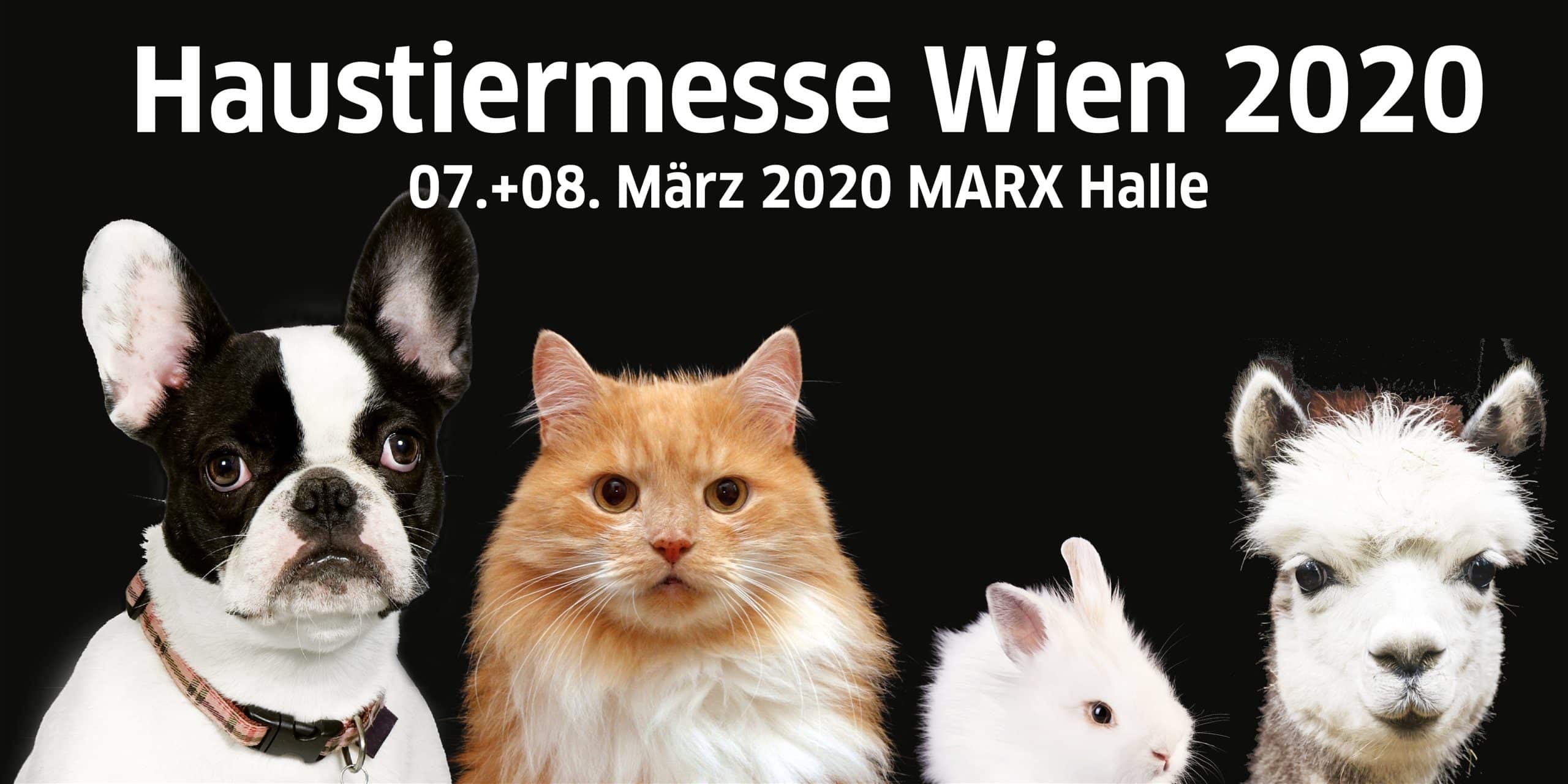 Haustiermesse Wien 2020 findet in der Marx Halle statt