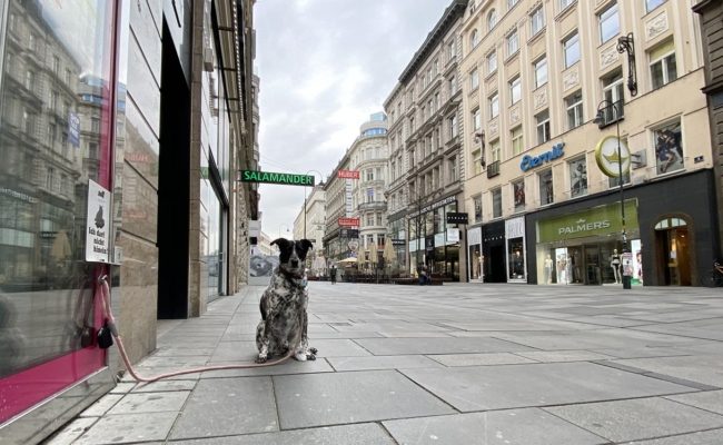 Leere Wiener Strassen und geschlossene Geschäfte auf der Kärnterstrasse