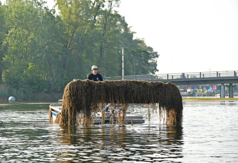 Sicherheitsauflagen wie Abstandsregeln an der Alten Donau