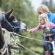 Elisabeth Köstinger möchte die Grenzen für deutsche Sommerurlauber öffnen