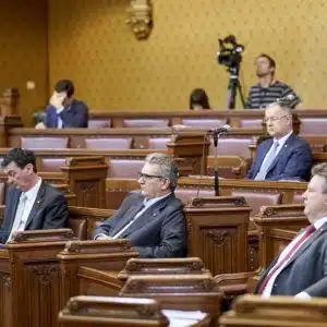 Gemeinderatssitzung im Wiener Rathaus in Zeiten von Corona-Krise