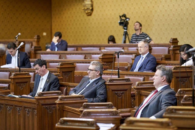 Gemeinderatssitzung im Wiener Rathaus in Zeiten von Corona-Krise