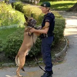 Hunde-Problemzonen werden von der Polizei gemeinsam mit der Stadt Wien zwei Wochen stärker kontrolliert