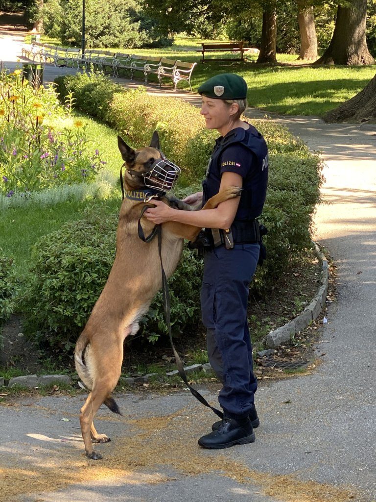 Hunde-Problemzonen werden von der Polizei gemeinsam mit der Stadt Wien zwei Wochen stärker kontrolliert