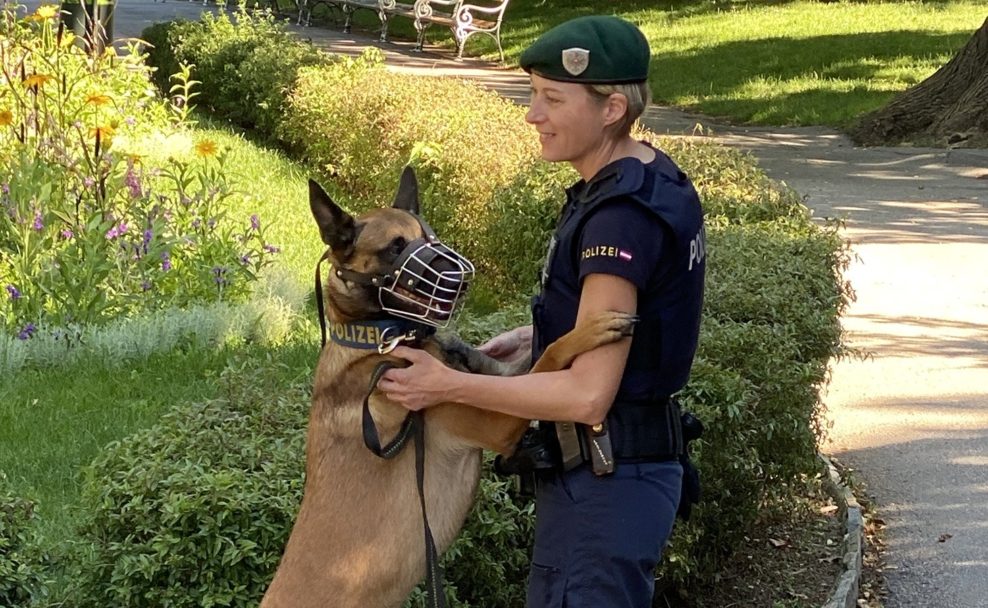 Hunde-Problemzonen werden von der Polizei gemeinsam mit der Stadt Wien zwei Wochen stärker kontrolliert