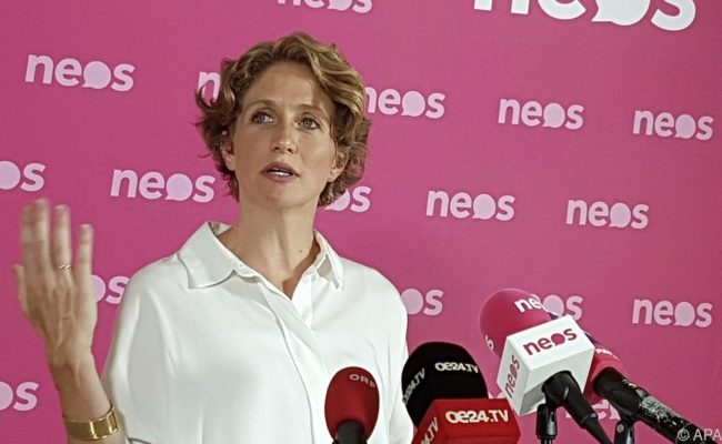 Neos-Fraktionsführerin Stephanie Krisper gibt Zwischenbilanz zum Ibiza-U-Ausschuss