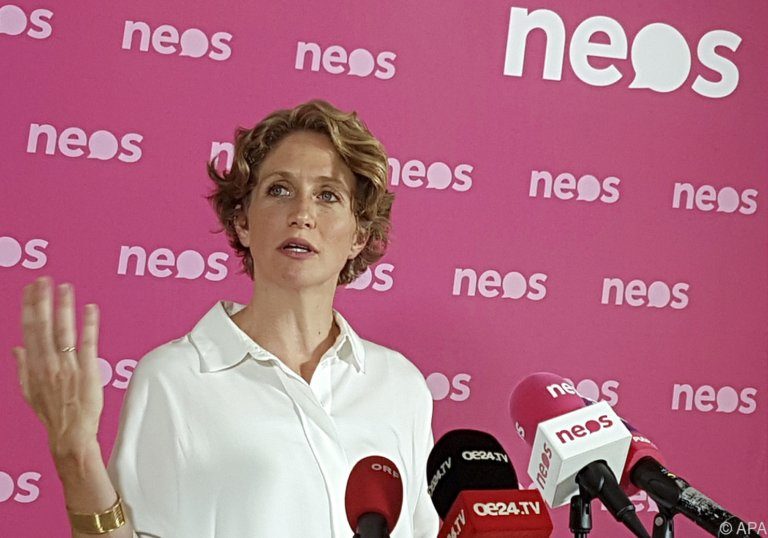 Neos-Fraktionsführerin Stephanie Krisper gibt Zwischenbilanz zum Ibiza-U-Ausschuss