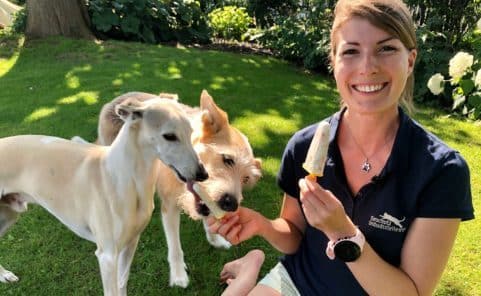 Simone Gräber von der Tierschutzombudsstelle Wien warnt vor Speiseeis als Hunde-Eis