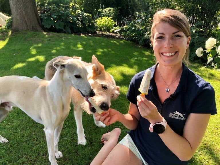 Simone Gräber von der Tierschutzombudsstelle Wien warnt vor Speiseeis als Hunde-Eis