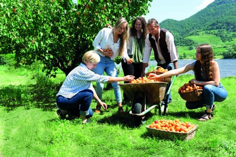 Uschis Garten bietet Fruchtaufstriche und Marmeladen in Handarbeit