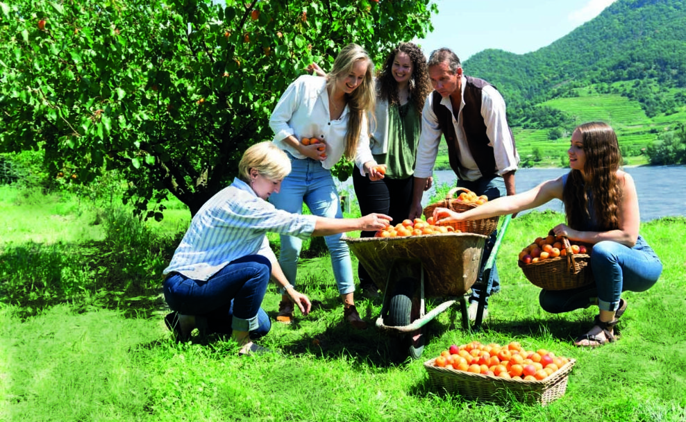 Uschis Garten bietet Fruchtaufstriche und Marmeladen in Handarbeit