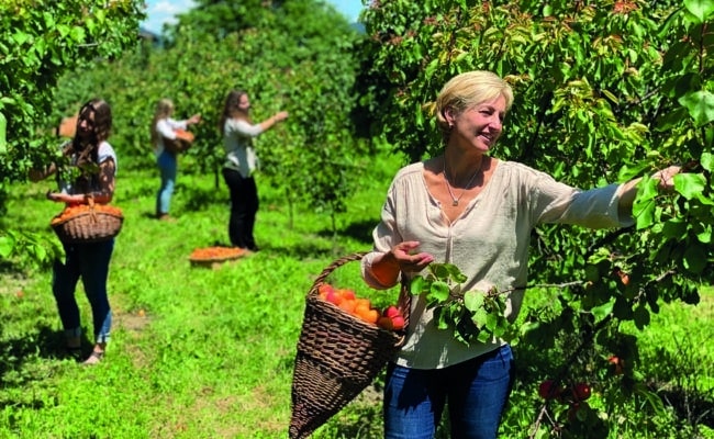 Uschis Garten mach Fruchtaufstriche in Handarbeit