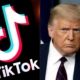 Die Video-App Tiktok klagt US-Regierung wegen Trump-Dekret