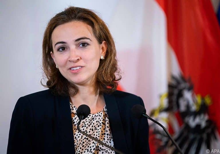 Justizministerin Alma Zadic plant "Hass im Netz"-Gesetz gegen Beleidigungen im Internet