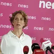 Neos-Sicherheitssprecherin Stephanie Krisper spricht von Ablenkung