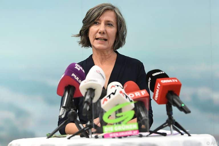 Hebein verzichtet auf ihr Mandat im Gemeinderat und bleibt Parteichefin der Wiener Grünen