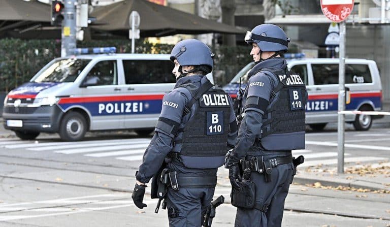 Untersuchung unter der Leitung von Ingeborg Zerbes soll Abläufe zum Wien-Attentat klären