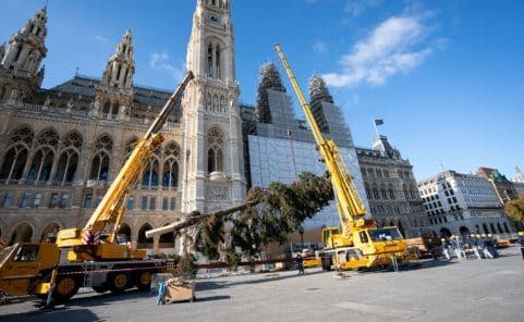 Mit Hilfe zweier Kräne wurde Christbaum am Rathausplatz aufgerichtet