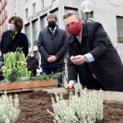 Tulpenzwiebel-Pflanzung mit Bürgermeister Michael Ludwig