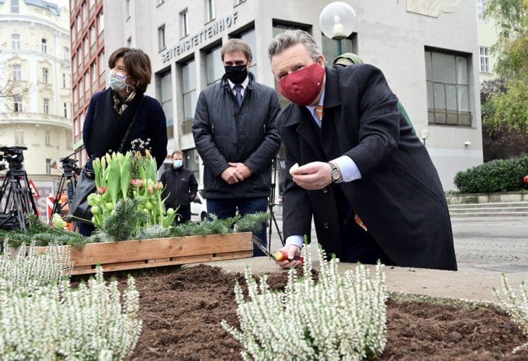 Tulpenzwiebel-Pflanzung mit Bürgermeister Michael Ludwig