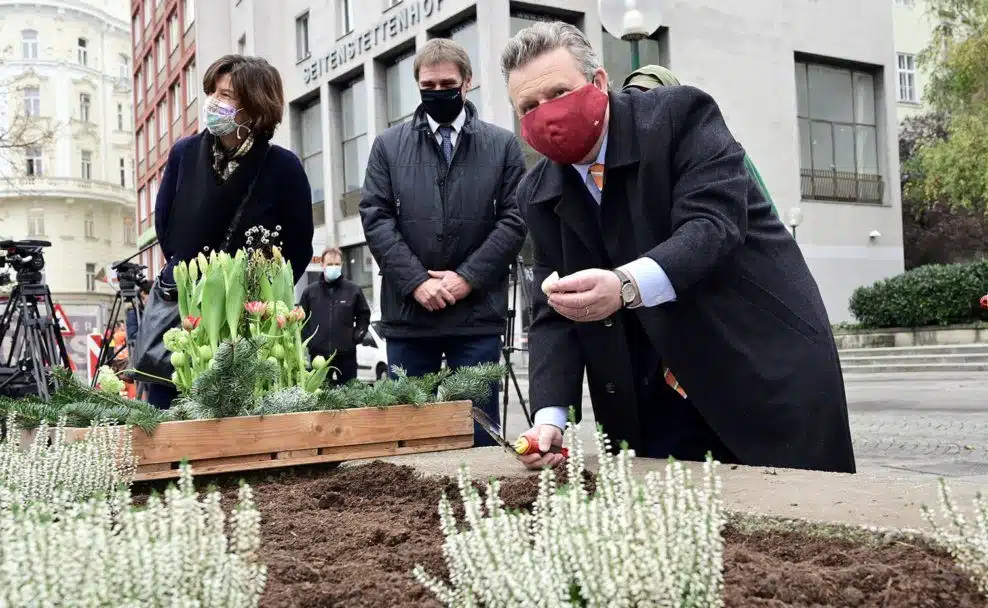 Tulpenzwiebel-Pflanzung mit Bürgermeister Michael Ludwig