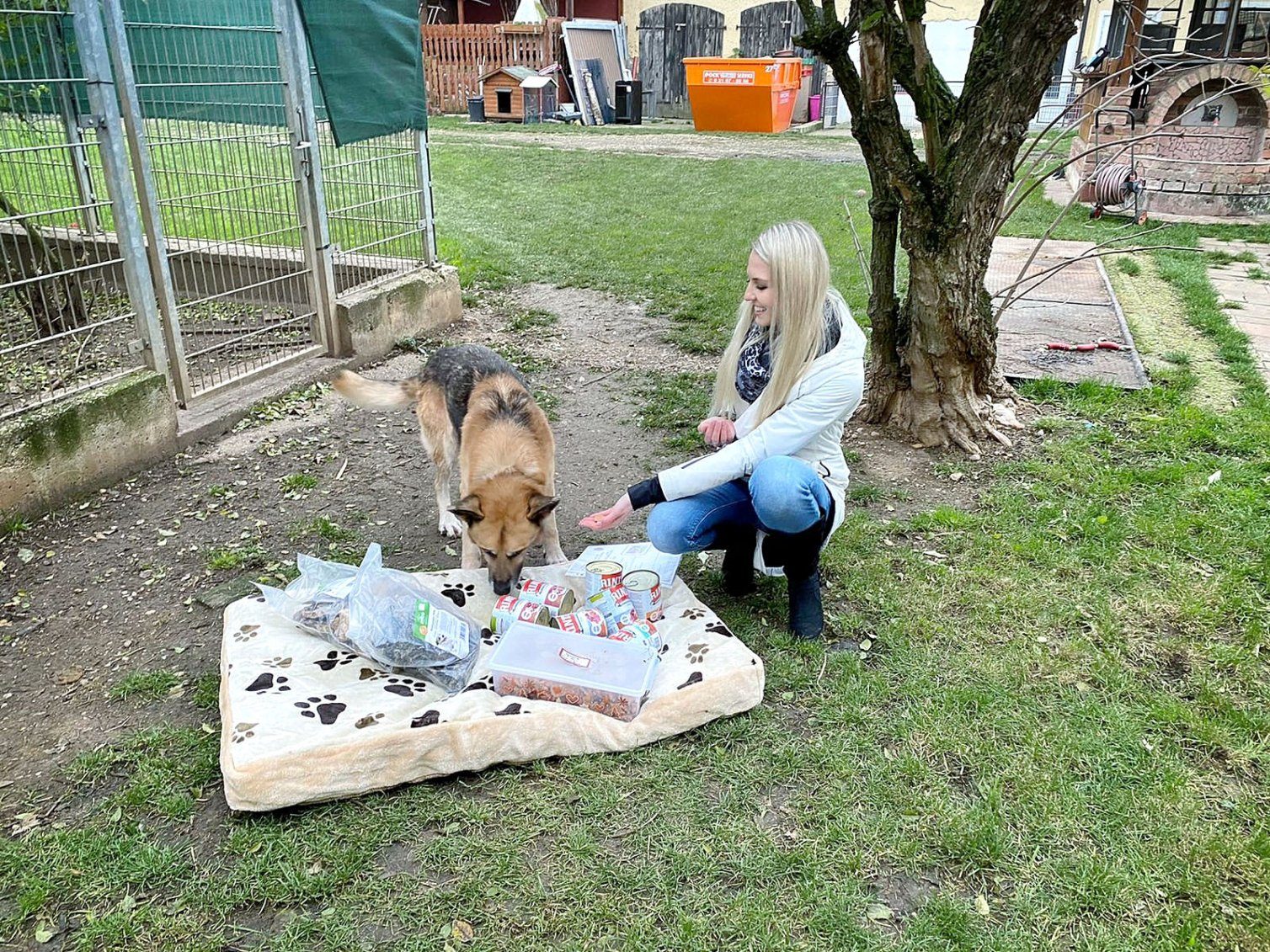 Weihnachtspackerl von Tierreich für Schäferhund "Opi"