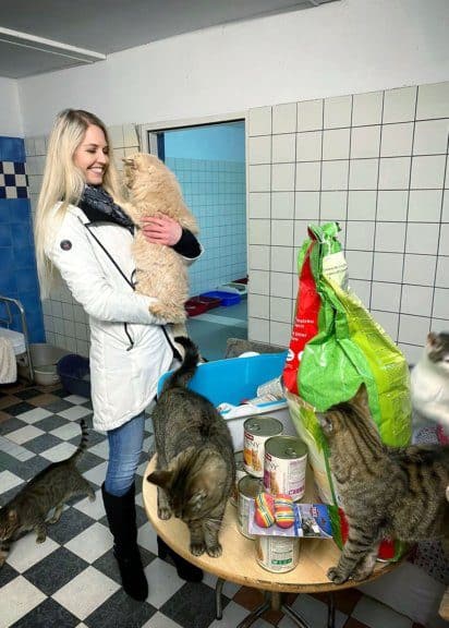 Weihnachtspackerl von Tierreich für die Katzen im Tierheim