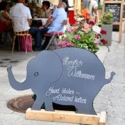 Der Begriff "Babyelefant" ist Wort des Jahres 2020 in Österreich