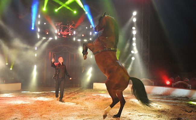Cirkus Louis Knie Pferde Show