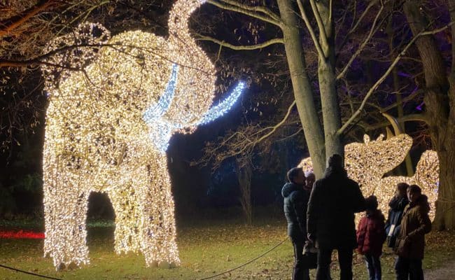 Lichterpark in der Schlossanlage des Europahauses