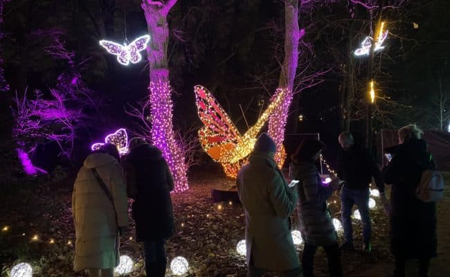 Lichterpark in Wien unter dem Motto "Walzer der Tiere"