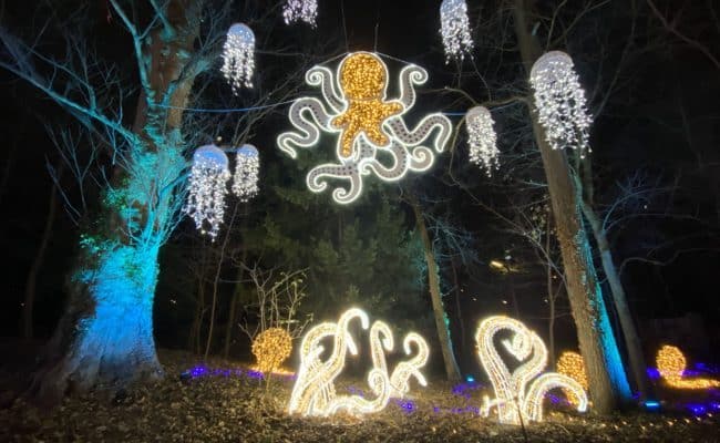 MK Illumination und Agentur Kesch haben den Lichterpark entworfen