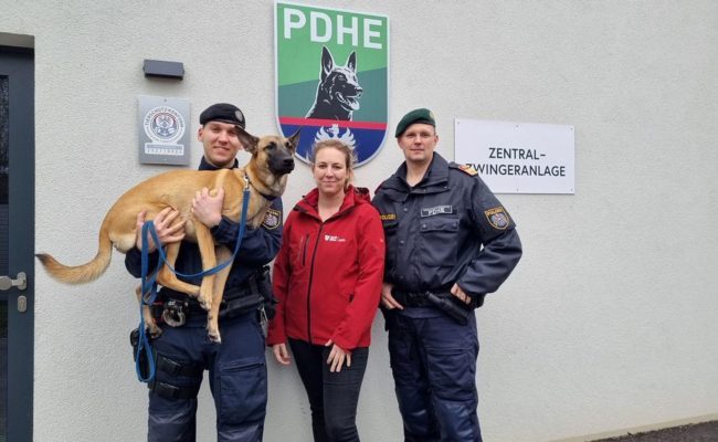 Amtstierärzte der Stadt Wien schulen Polizisten der Diensthundestaffel zu den rechtlichen Grundlagen des Tierhandels.