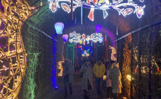 Winter Wonderland Lichterpark im Kronprinzengarten beim Schloss Schönbrunn