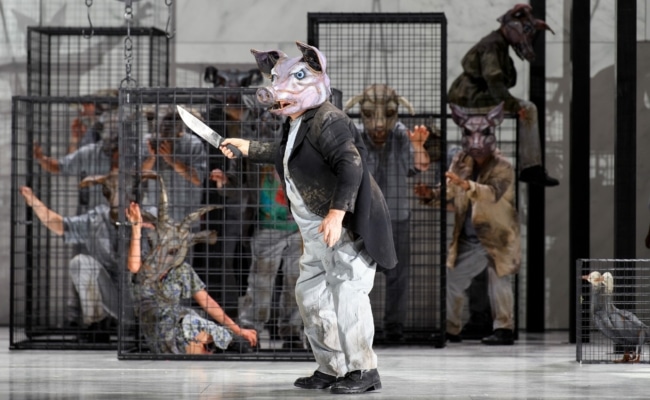 Die Erstaufführung des Auftragswerks "Animal Farm" fand in der Dutch National Opera statt.