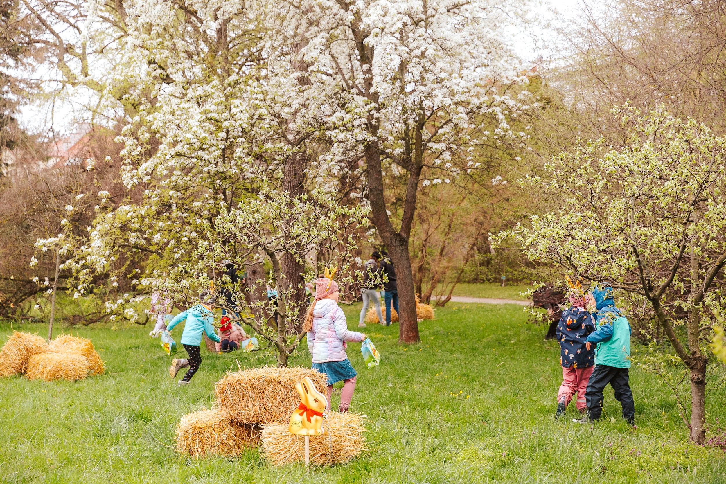 Schatzsuche, Gartenspiele, Kinderschminken erwartet Besucher beim Goldhasenfest.