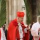 Die Palmwedel symbolisieren den Einzug Jesu in Jerusalem am Palmsonntag im Stephansdom und anderen Kirchen zu Ostern in Wien.
