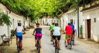Geführte Radtouren zu den Weingütern rund um Poysdorf