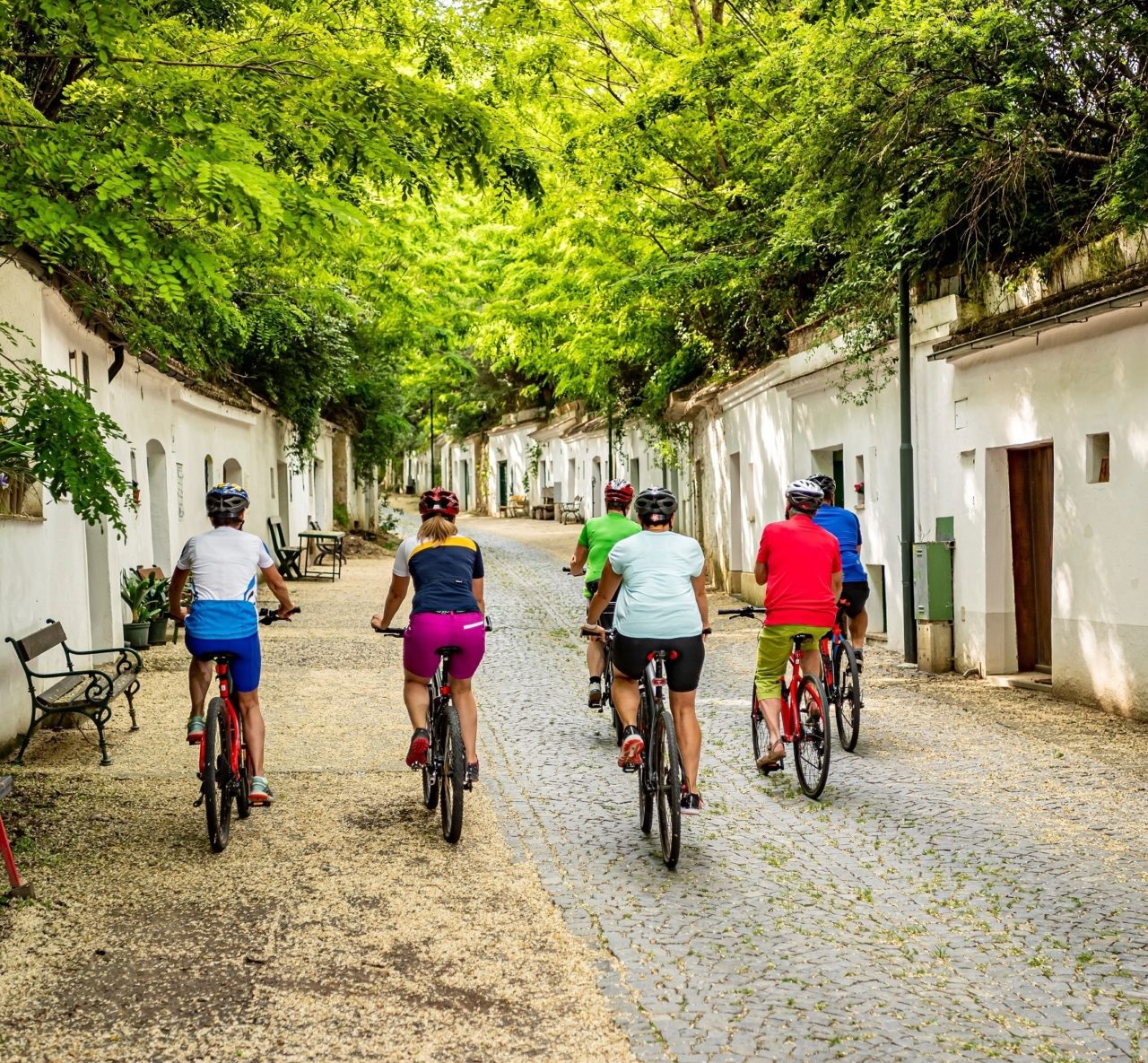 Kellergassen entdecken bei Fahrrad- und E-Bike-Touren in Poysdorf.