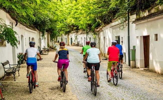 Kellergassen entdecken bei Fahrrad- und E-Bike-Touren in Poysdorf.