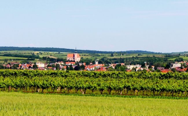 Vino Versum Poysdorf - Weinlandschaft mit idyllischen Kellergassen bei Radtouren entdecken.