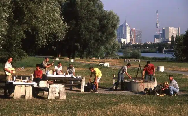 Ein früher Grillplatz auf der Donauinsel aufgenommen im Jahr 2005.