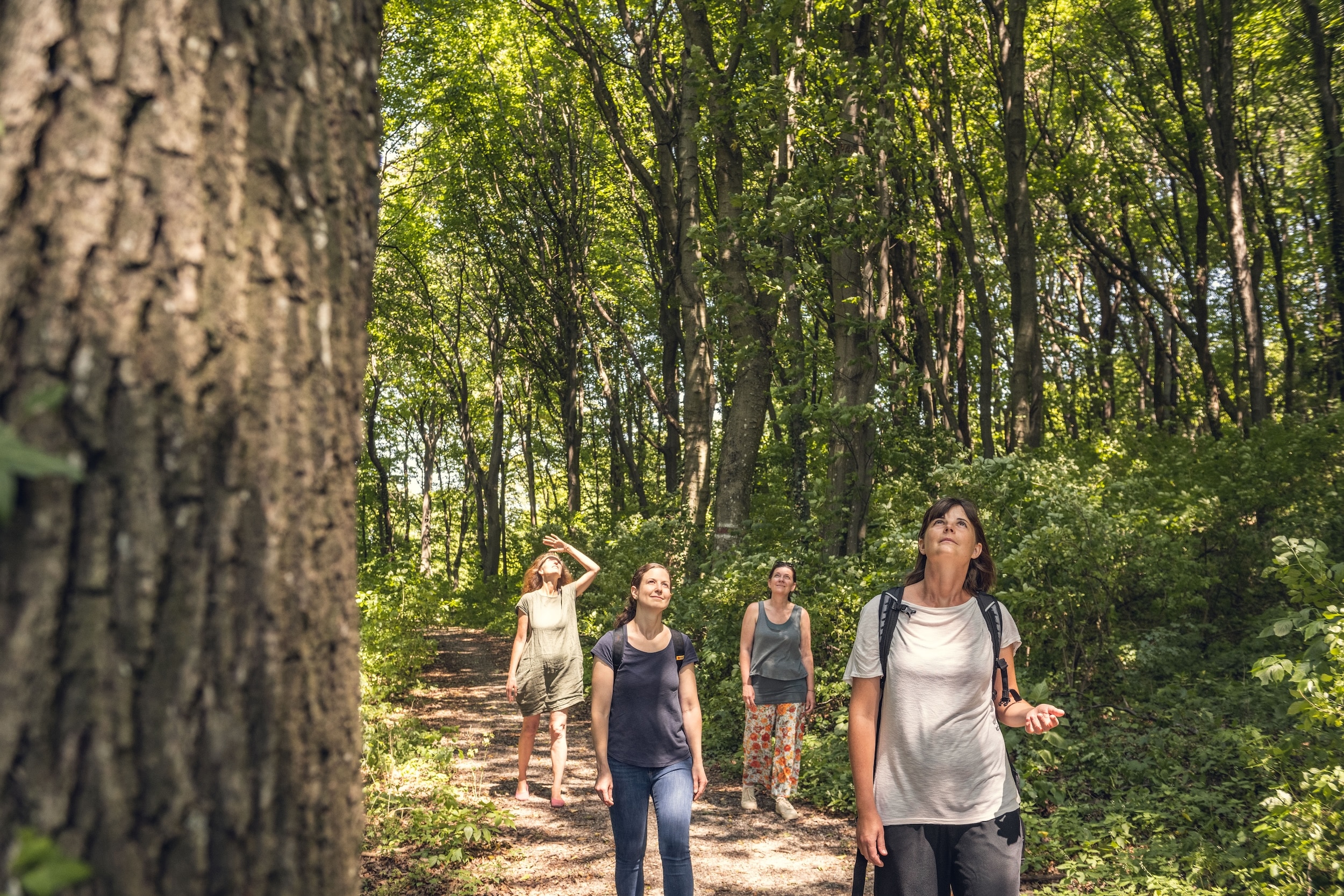 Geführte Routen durch den Wienerwald starten etwa im Hotel Schlosspark Mauerbach.