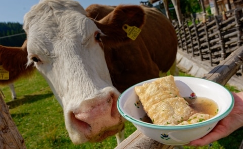 Kochen auf der Holdahüttn auf der Sommeralm in der Oststeiermark während Dreharbeiten zu Silvia kocht