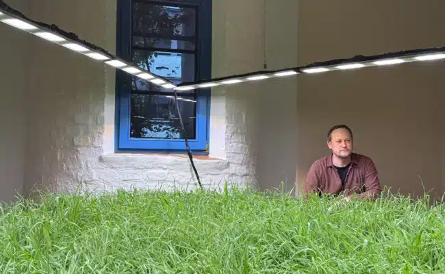 Künstler Tue Greenfort sitzt neben einer wachsenden Grasinstallation unter LED-Licht im KunstHausWien Wien