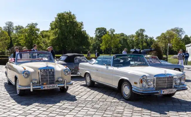 Luxus-Cabrios der 1960er-Jahre im Schlosspark Laxenburg Mercedes-Benz Cabriolets der 1960er-Jahre beim internationalen SL-Treffen in Laxenburg